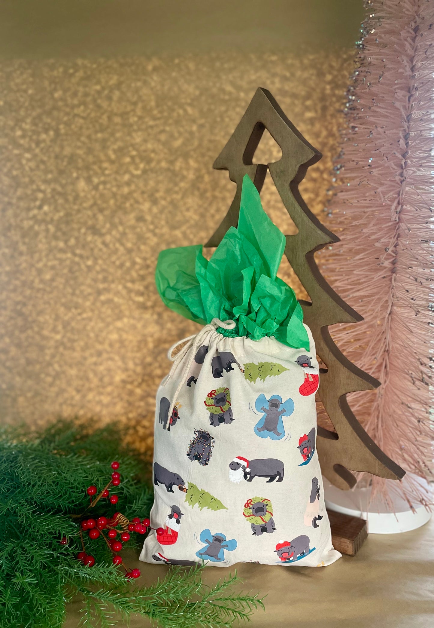 Mars Hippo Drawstring Gift Bag