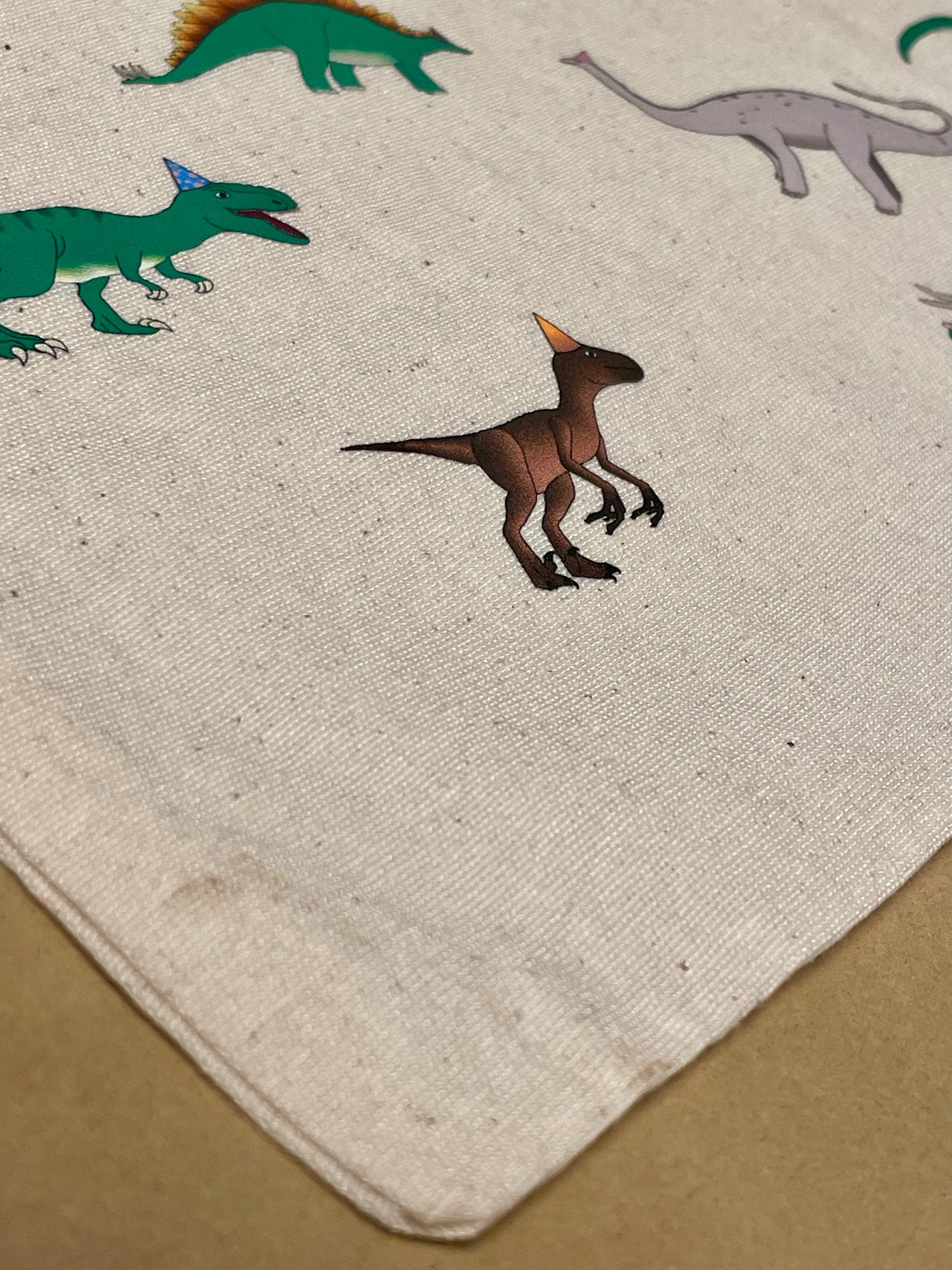 Dinosaur Drawstring Gift Bag