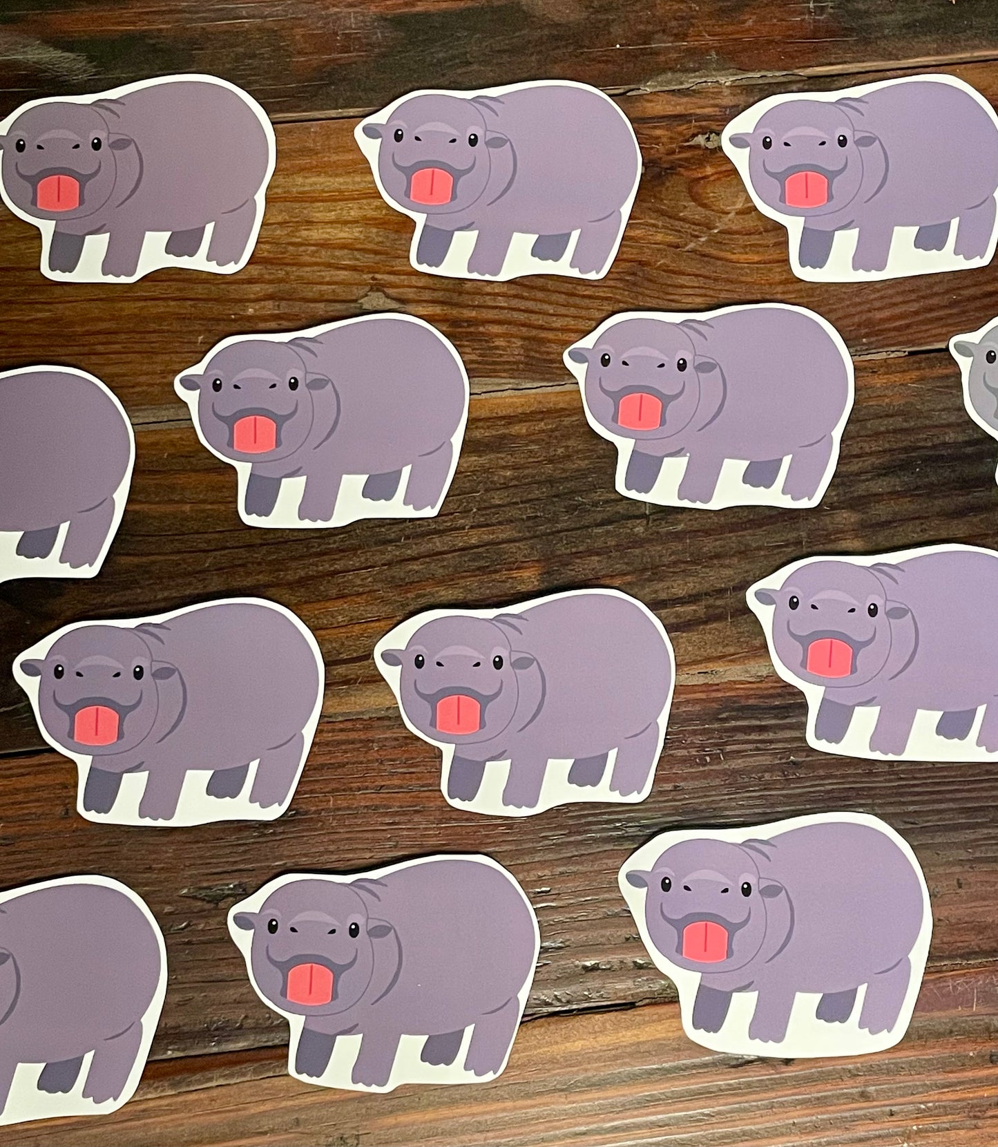 Mars the Hippo