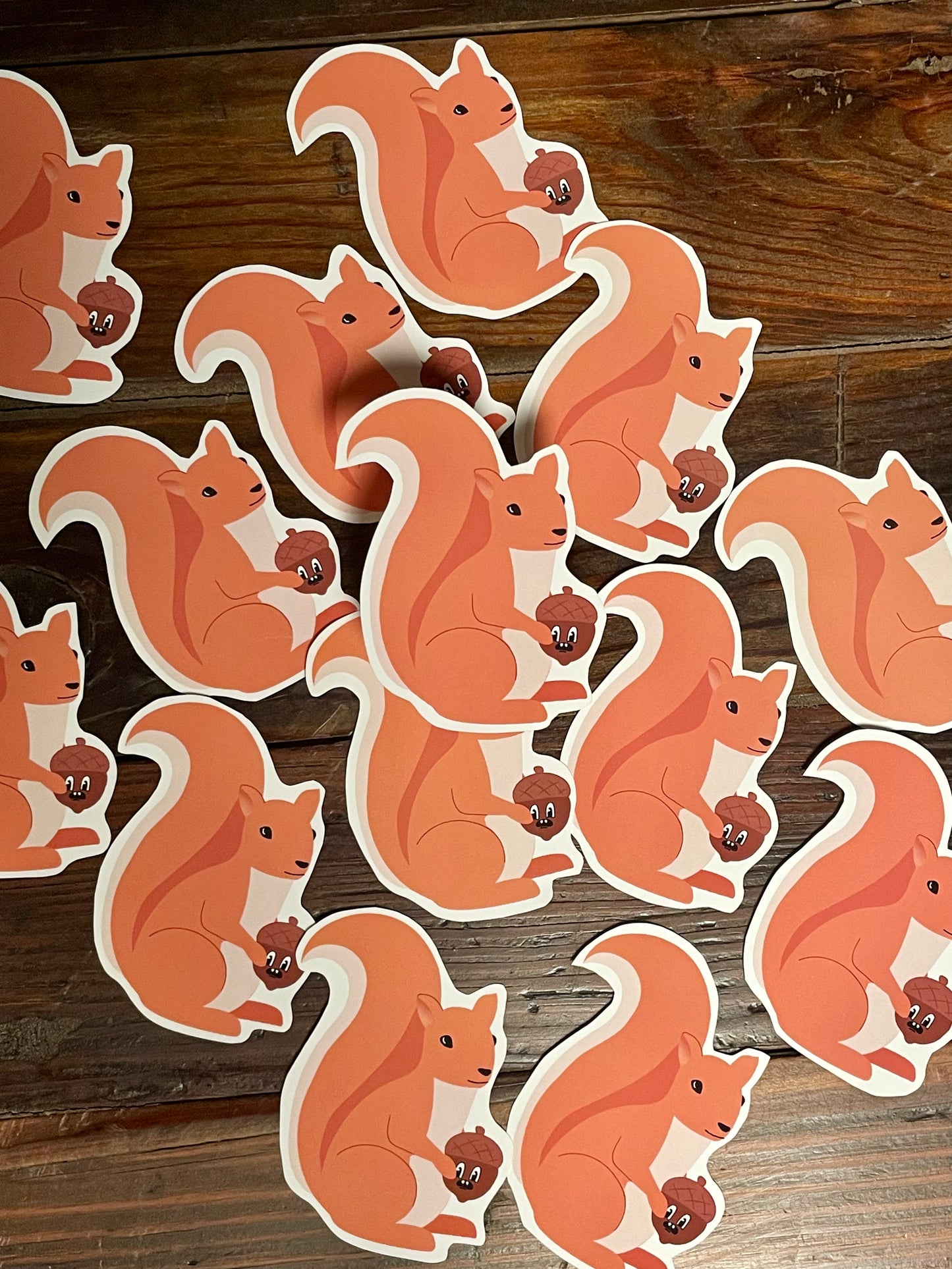 Squirrel