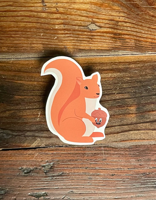 Squirrel