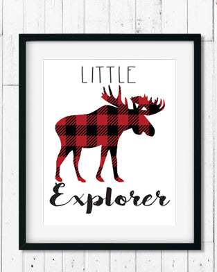 Little Explorer